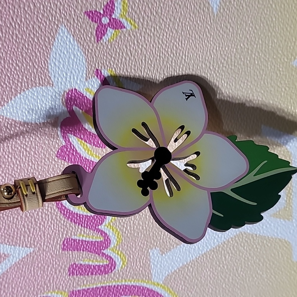 Louis Vuitton Onthego GM GUAM  Special  Edition  Collection New - Picture 15 of 16